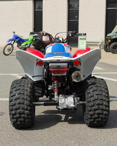 Quad ATV Premium 229cc, moteur OHV 4 temps refroidi par air, démarrage électrique, carburateur 22 mm, véhicule tout-terrain haute performance - Product Image 4