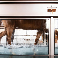 Tapis roulant aquatique professionnel Bigol pour chevaux, pour la rééducation, l'entraînement, la course, les soins et l'utilisation équestre, avec bain de massage santé