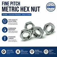 Fine Pitch Metric Hex Nut, Custom Thread Pitch Hex Fastening Nut for Precision Instrument Equipment Assembly