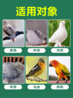 Supplément pour pigeons de course et pigeons domestiques, pour le système respiratoire, les parasites intestinal, l'Eimeria et le Trichomonas, pour la Journée des enfants