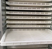 Équipement de séchage automatique des plateaux d'épices pour viande de bœuf, de porc et de poisson, machine de déshydratation des plateaux d'épices à la cannelle, au poivre et au thym