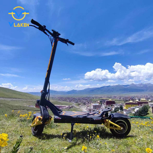 Vlaken – trottinette électrique à roues larges 48v, moteur de <span class=keywords><strong>Duel</strong></span>, belgique, gros pneu, pliable, tout-terrain, scooter électrique pour adultes, rapide - Product Image 5