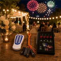 Kit d'allumage à distance sans fil 2/4 canaux, contrôleur d'allumage électronique avec 12 clés numériques pour mariages, fêtes et événements scéniques