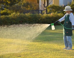 Pulvérisateur à pression transparent de 1 L pour produits chimiques, idéal pour la lutte antiparasitaire en jardin, <span class=keywords><strong>avec</strong></span> buse réglable - Product Image 2