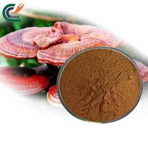 Extrait de champignon Reishi rouge biologique de poudre de mycélium de <span class=keywords><strong>Ganoderma</strong></span> Lucidum Vente en gros d'aliments santé - Product Image 1