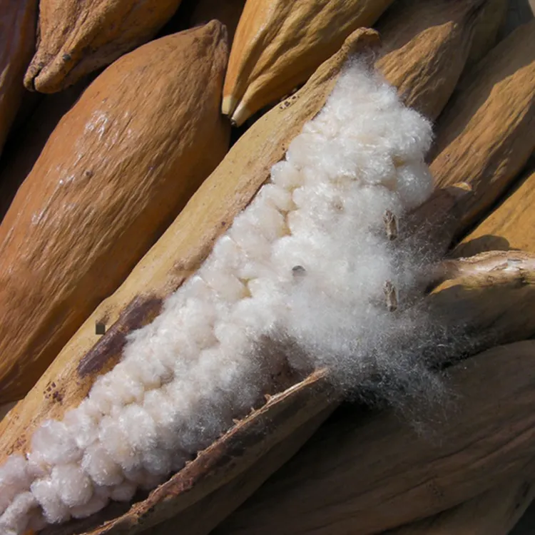Commercio all'ingrosso del rifornimento della fabbrica grezzo tessuto 100% Fibra di cotone Kapok per le industrie tessili