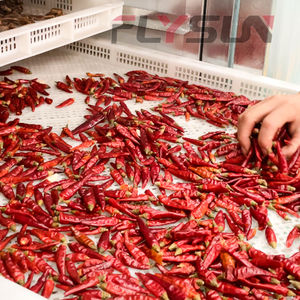 Vente directe d'usine - Sécheuse à pompe à chaleur automatique pour la déshydratation des piments et des légumes - Haute efficacité - Économie d'énergie - Product Image 2