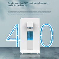 Machine à eau à hydrogène de comptoir Portable filtre électrique H2 générateur d'hydrogène distributeur d'eau de bureau