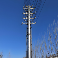 Pylône de distribution d'énergie urbaine 110 kV 220 kV - Pylône en acier au carbone galvanisé à chaud - Structure de support à haute stabilité