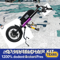 WISKING Q7 Kit fauteuil roulant Handbike Trike Handcycle avec 15Ah Batterie Walker & Rollator Produit