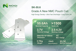 Sel Baterai Lithium Polymer Pouch Cell SK 3.7V 55.6Ah, Keamanan Tinggi, Performa Stabil untuk Sistem Penyimpanan Energi Surya - Product Image 2
