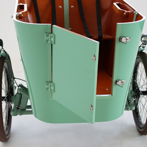 <span class=keywords><strong>Porte</strong></span> ouverte avant pour <span class=keywords><strong>chien</strong></span> Take Dog Vélo à trois roues Vélo cargo électrique Vélo cargo de livraison - Product Image 4