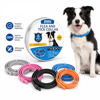 Collier et laisse pour animaux de compagnie, produit fini, inspection manuelle, lavage à la main, matériau durable, design réglable, collier et laisse pour chiens/chats