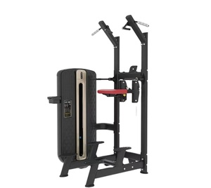 Equipo de Gimnasio para Ejercicios de Flexión y Extensión de Miembros Superiores, Máquina de Dominadas Horizontales y de Extensión - Product Image 1