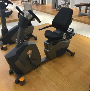 Recumbent <b>Bike</b> Professional Erg Stationary Fitness Exercise <b>Bike</b> With KG Flywheel Iron Frame for Home & Commercial Use - Product Image 3