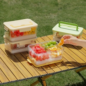 Multifunctional Sealed Refrigerated Lunch <b>Box</b> Portable Fresh-Keeping <b>Box</b> Food Grade <b>Large</b> Capacity Portable Picnic <b>Box</b> - Product Image 1