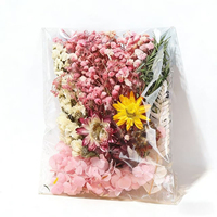 Boîte de matériaux pour fleurs éternelles DIY, décorations artisanales, couleurs mélangées aléatoires, plantes séchées et fleurs séchées