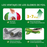 Nouveauté 2026 Ballons métallisés Football Mondial Mexicain pour Anniversaire, Fête de Remise des Diplômes, Décoration de Fête, Durable, Vente en Gros