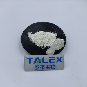 โรงงานผลิตสารสกัดสมุนไพรธรรมชาติ แมทรีน CAS 519-02-8 สารสกัดจากต้นโซโฟรา ฟลาเวสเซนส์ เกรดอาหาร บรรจุขวด ผง 98% ว่านหางจระเข้ - Product Image 2