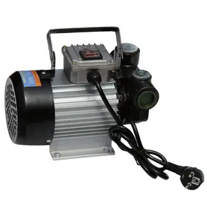 550W 220V 휴대용 전기 AC 디젤 바이오 디젤 등유 Pumpcast 연료 오일 분배 전송 추출기 펌프 모터
