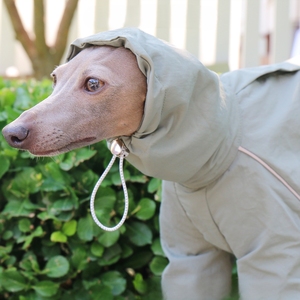 <span class=keywords><strong>Chubasquero</strong></span> italiano pequeño para galgos, con protección solar e impermeable, para whippets, <span class=keywords><strong>chubasquero</strong></span> ajustable con cremallera y cuello alto para mascotas - Product Image 6