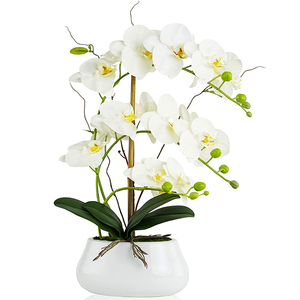 Fiori di orchidea di seta di plastica <span class=keywords><strong>in</strong></span> <span class=keywords><strong>vaso</strong></span> di ceramica Bonsai artificiali orchidea bianca <span class=keywords><strong>orchidee</strong></span> <span class=keywords><strong>in</strong></span> <span class=keywords><strong>vaso</strong></span> finte alte - Product Image 6