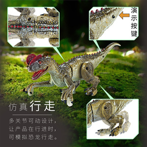 迅猛龙恐龙遥控机器人玩具 LED 灯光行走咆哮恐龙遥控玩具 儿童遥控恐龙玩具 - Product Image 5