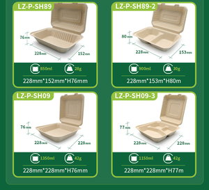 Conteneurs à <span class=keywords><strong>emporter</strong></span> de canne à sucre robustes sans PFAS <span class=keywords><strong>assiette</strong></span> à dîner jetable compostable <span class=keywords><strong>pour</strong></span> la conception à clapet de camping - Product Image 6