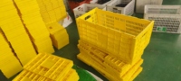 Support de plateau à oeufs à bas prix pour le transport nouvelle condition 30 plateau à oeufs pour canard et oeufs de poule plateau en plastique