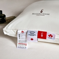 Oreiller en plumes d'oie rectangulaire de qualité supérieure, respirant, avec sac sous vide, garnissage doux, OEM pour hôtels haut de gamme
