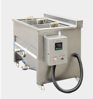 Friteuse industrielle, 150 w, pour la friture, pour plantes, pommes de terre, chips, poulet