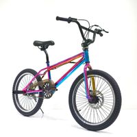 Vélo BMX Freestyle Léger à Vitesse Unique pour la Rue et le Dirt Jump, 20 Pouces, avec Selle Réglable et Frein à Disque, pour Garçons et Filles, Directement de l'Usine