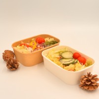 Boîte en papier kraft carrée/rectangulaire étanche emballage chauffant pour plats à emporter et bol à salade pour sushi avec impression de gaufrage