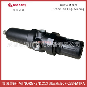 วาล์วลดแรงดันนอร์เกรน B07-233-M1KA 1/4 นิ้ว แก๊ส นิวเมติก - Product Image 5