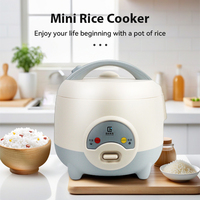 Cuiseur à riz intérieur en aluminium personnalisé professionnel mini cuiseur à riz électrique de Corée pour 1-2 personnes