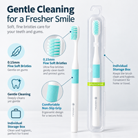 Brosse à dents manuelle portable pour adultes OEM & ODM, poils souples de 0,15 mm, brosse à dents de voyage avec étui pour usage quotidien à la maison et à l'hôtel
