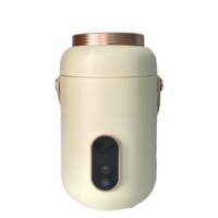Mini-casserole électrique 550W, cuisinière électrique portable, petite casserole pour dortoir, bureau, voyage, cuisinière à nouilles rapides