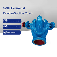 Hocheffiziente, Energiesparende, Großvolumige 500m³/h Industrielle Kreiselpumpe mit Starkem Doppelsaugsystem und OEM-Fähigkeiten.