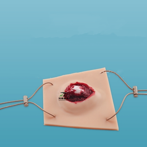 2025新しい外傷シミュレーション傷応急処置トレーニングモデル-手足の開いた骨折傷モデル-医療トレーニングモデル - Product Image 5