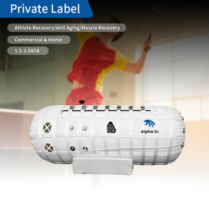 <strong>2026</strong> Hot Style <strong>Portable</strong> <strong>Hyperbaric</strong> Oxygen <strong>Chamber</strong> 2.0ATA Physiotherapy Machine 3 in 1 New Tech - Product Image 1