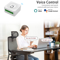 Interrupteur intelligent WiFi EWelink 16A à 2 voies, disjoncteur programmable, compatible Alexa, Google Home, SmartThings, maison intelligente