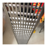 Grille de drainage en acier inoxydable à prix d'usine, drain de tranchée linéaire pour piscine de villa