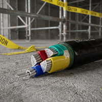 Cable de Alimentación de Cobre Armado con Alambre de Acero YJV XLPE PVC 0.6/1kV para Suministro Eléctrico en Plantas de Procesamiento de Petróleo, Gas y Petroquímicos