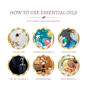 Proveedor Chino de Aceites Esenciales de Aromaterapia para el Cuidado de la Piel, Aceite de Hoja de Perilla 100% Puro y Natural con Buen Embalaje - Product Image 3