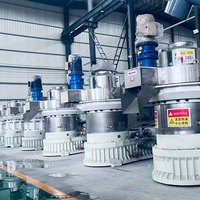 Machine à granulés de bois à matrice annulaire neuve de 1 à 5 TPH avec moteur à roulement, machine à granulés de biomasse