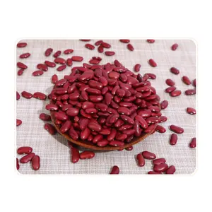 Wholesale Dried Dark Red Kidney Bean Long Shape British Red Kidney Beans For Exporting