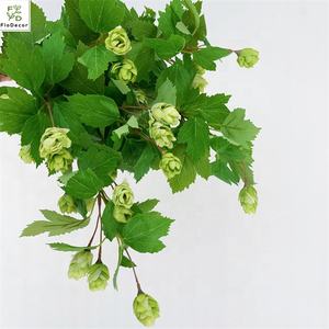 Vente en gros de houblon en soie artificielle, branches de fleurs, feuilles avec baies, plante verte pour la décoration de bar à bière et de <span class=keywords><strong>pub</strong></span> - Product Image 3
