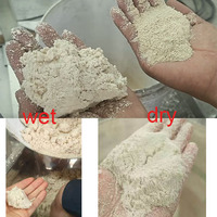 Séchoir Flash Haute Efficacité pour Manioc, Amidon, Farine, Nouilles de Riz et Gâteaux Filtrés – Machine de Traitement et de Fabrication