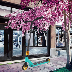 Skate Extreme Scooter per bambini 6-12 anni Entry-Level Fantasy Racing Bike spazzolato strada PedalPU ruota in ferro materiale - Product Image 3