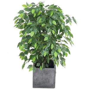 Commercio all'ingrosso Realistico di Seta Ficus Alberi Quasi Naturale Artificiale Ficus Benjamina Piante Albero per La Casa Albergo Ufficio Decorazione